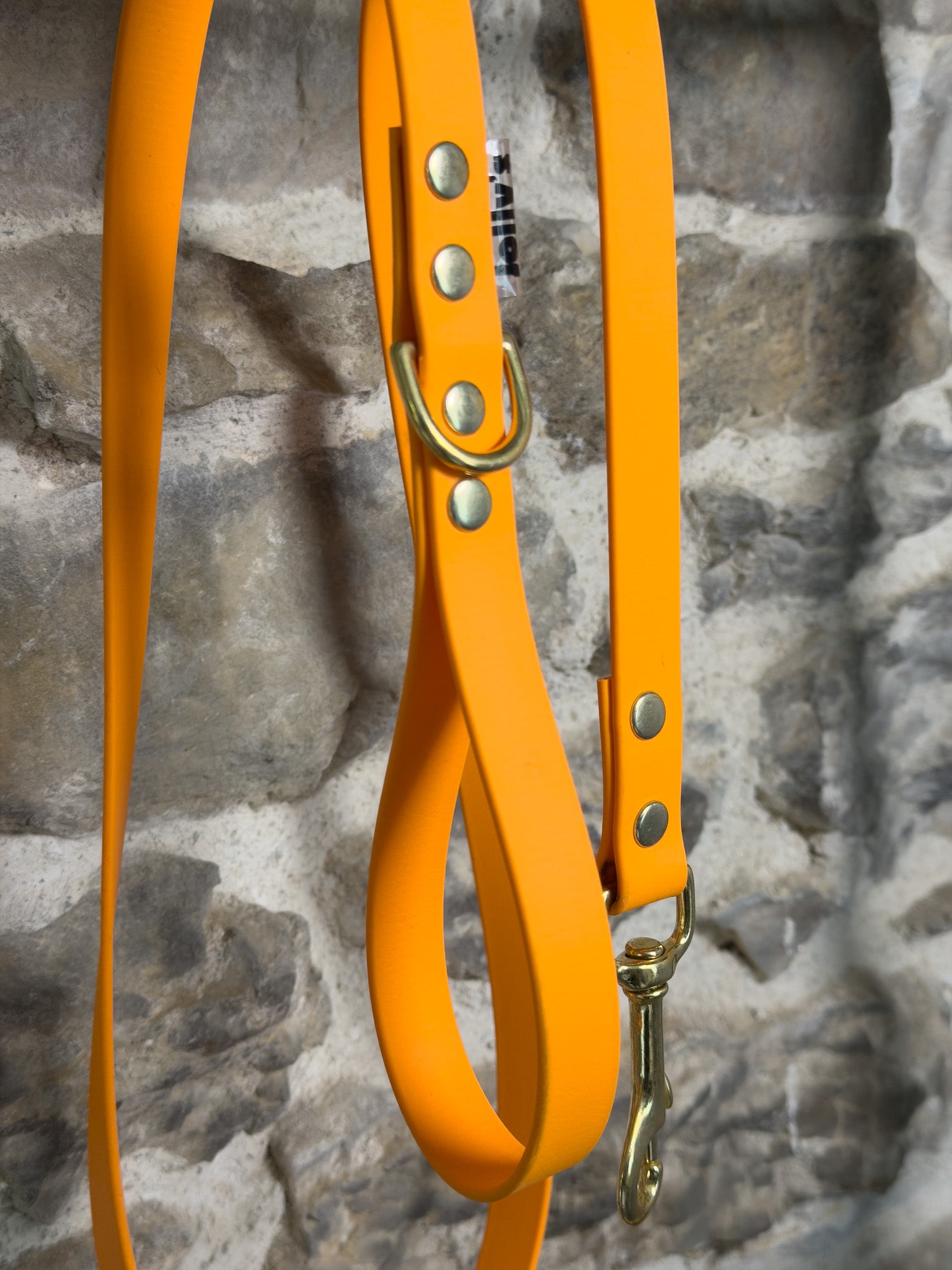 Laisse simple Canyon