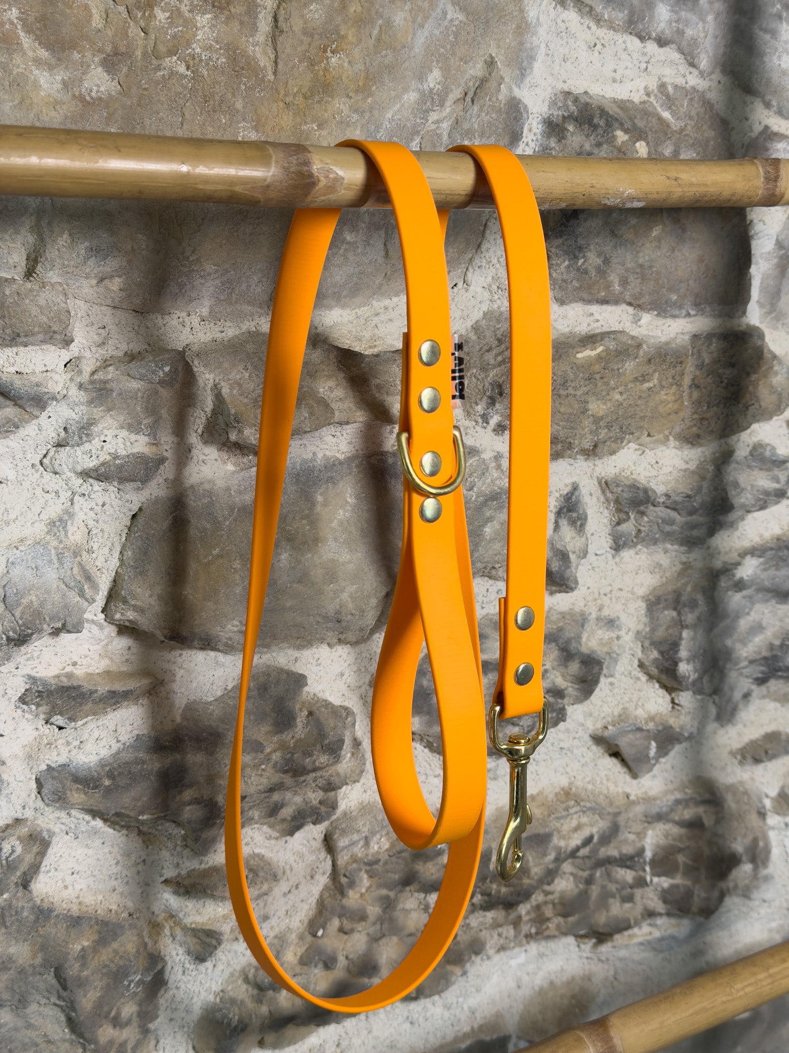 Laisse simple Canyon